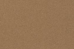 Velours Superior Studio, sand, 5 m breit, sand 5 m breit, schwer entflammbar nach EN 13501-1, Klasse Cfl-S1