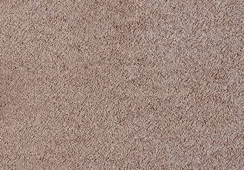 Shag Superior Loft, Taupe, 5,00 m breit, 