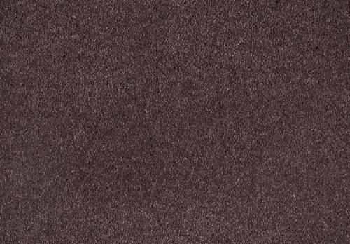 Shag Superior Loft, Purple, 5,00 m breit, 