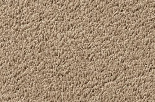 Shag Superior Studio, Beige, 5,00 m breit, 