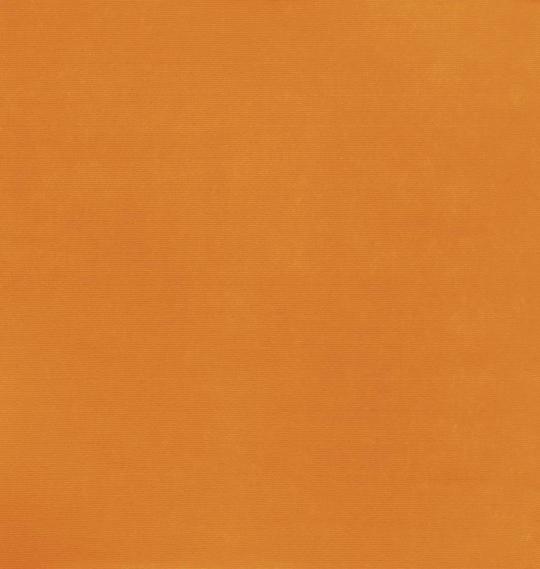 Eurorips - gelb-orange, 1B32 im Stamm online Store München