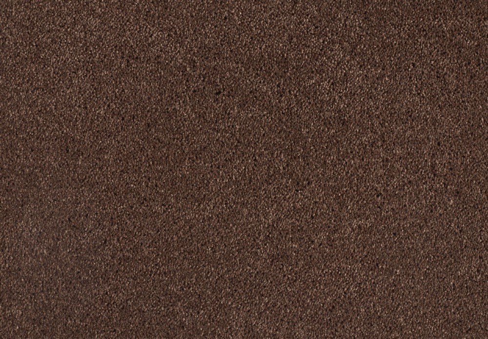 Shag Superior Loft - Nußbraun, 2PL29 im Stamm online Store München