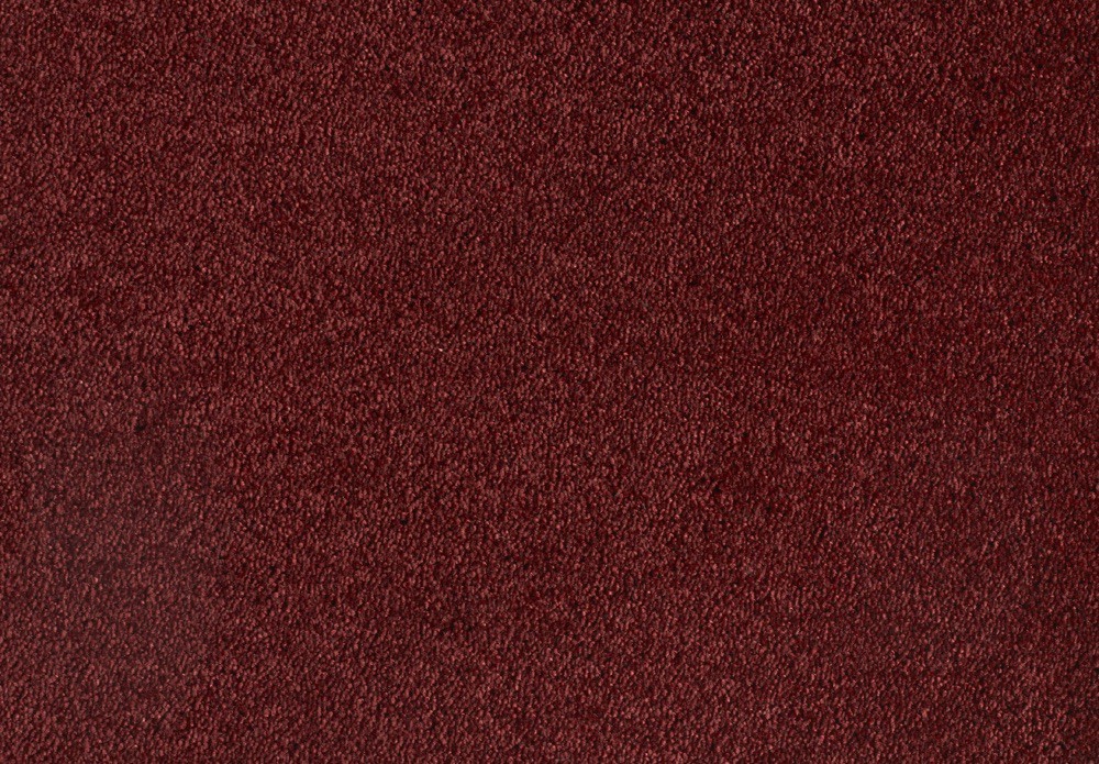 Shag Superior Loft - Bordeaux, 2PL37-5 im Stamm online Store München