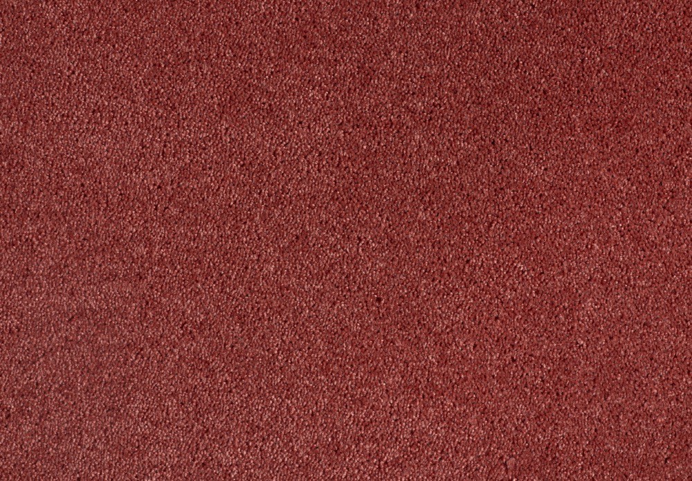 Shag Superior Loft - Perlrosa, 2PL61-5 im Stamm online Store München