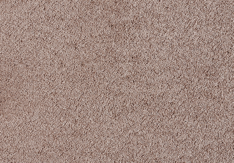 Shag Superior Loft, Taupe, 5,00 m breit,, 2PL63-5 im Stamm online Store München