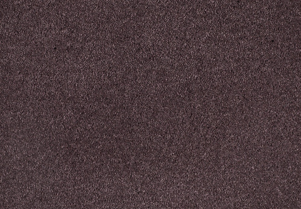 Shag Superior Loft - Purple, 2PL66-5 im Stamm online Store München