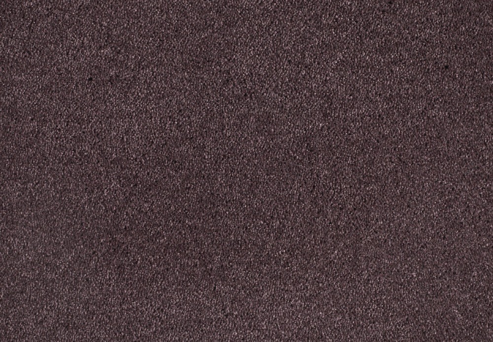 Shag Superior Loft, Purple, 5,00 m breit,, 2PL66-5 im Stamm online Store München