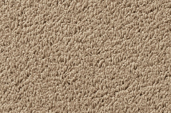 Shag Superior Studio, Beige, 5,00 m breit,, 2PST23-5 im Stamm online Store München