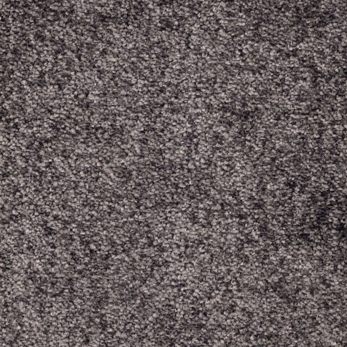 Velours Superior Eco - Basaltgrau, 2VCE16-5 im Stamm online Store München